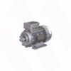 FLANGE MOTOR